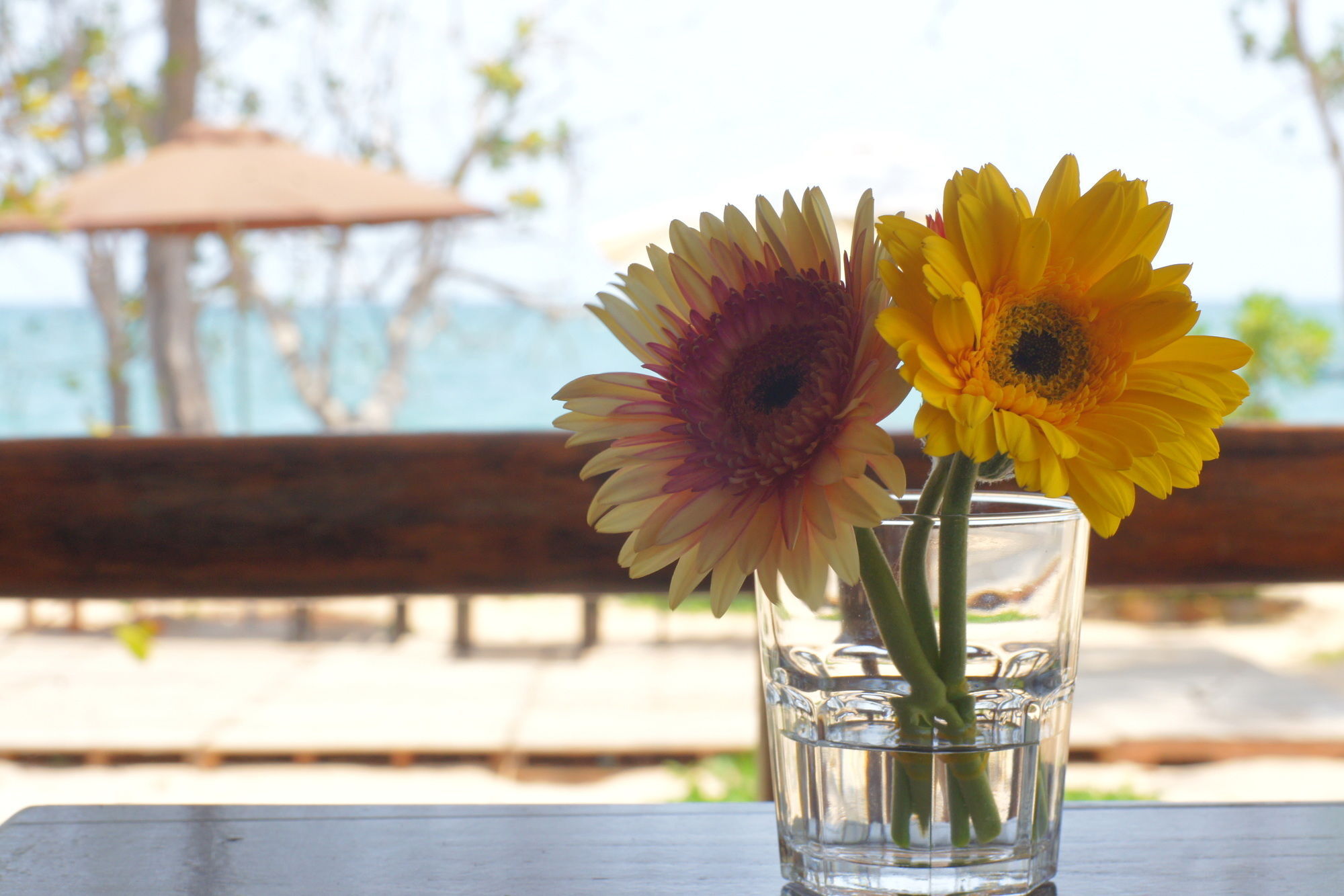 Gold Sand Beach Bungalow Phu Quoc Extérieur photo