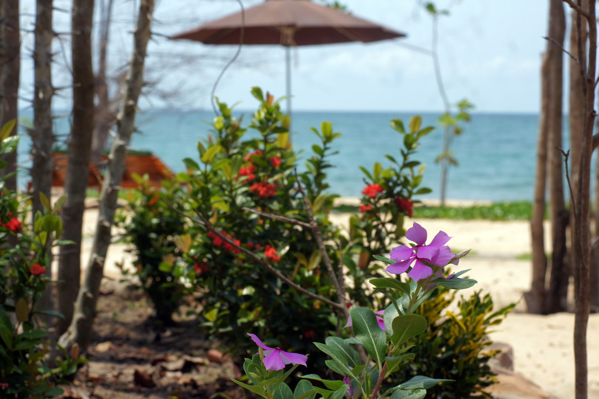 Gold Sand Beach Bungalow Phu Quoc Extérieur photo